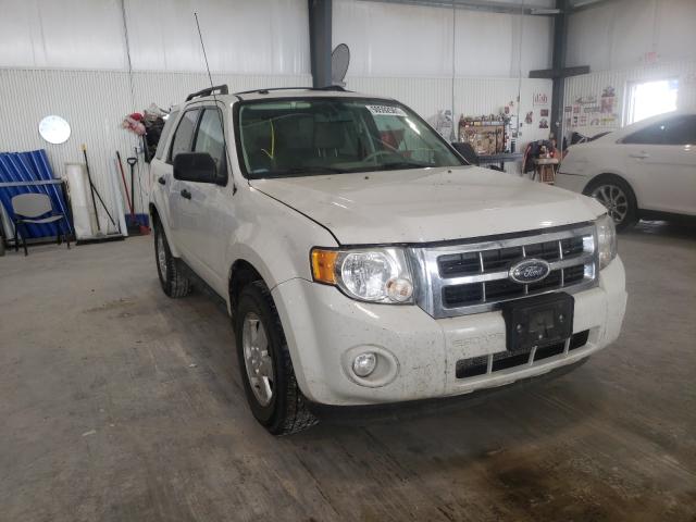 FORD ESCAPE XLT 2010 1fmcu0d7xaka34196