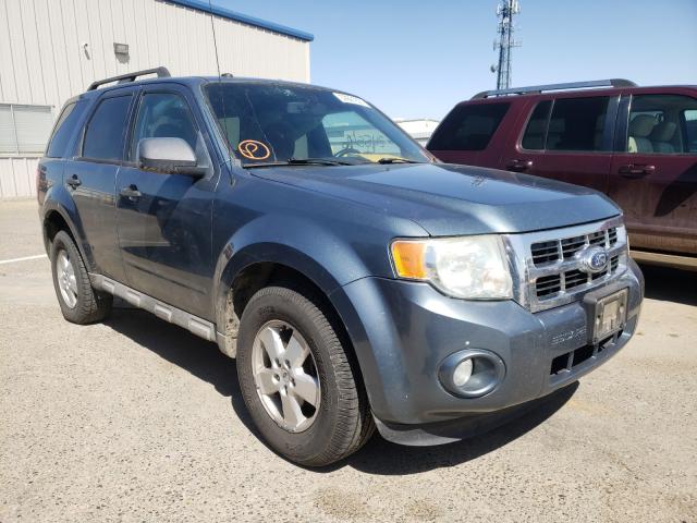 FORD ESCAPE XLT 2010 1fmcu0d7xakb56296