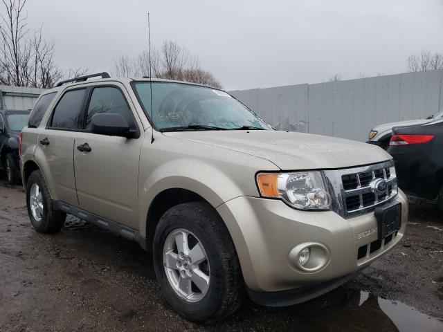 FORD ESCAPE XLT 2010 1fmcu0d7xakb79366