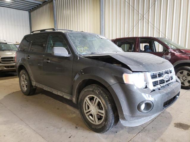 FORD ESCAPE XLT 2010 1fmcu0d7xakd03135