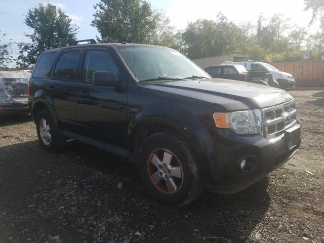 FORD ESCAPE XLT 2011 1fmcu0d7xbka69600