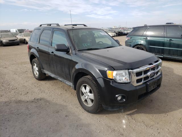 FORD ESCAPE XLT 2011 1fmcu0d7xbkb66747