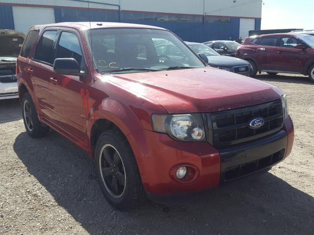 FORD ESCAPE XLT 2011 1fmcu0d7xbkc20337