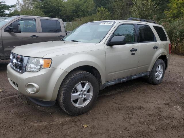 FORD ESCAPE XLT 2011 1fmcu0d7xbkc70994