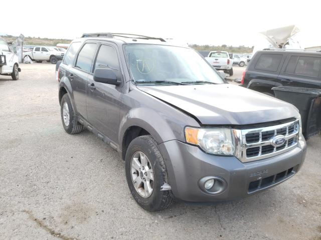 FORD ESCAPE XLT 2010 1fmcu0dg0aka71919