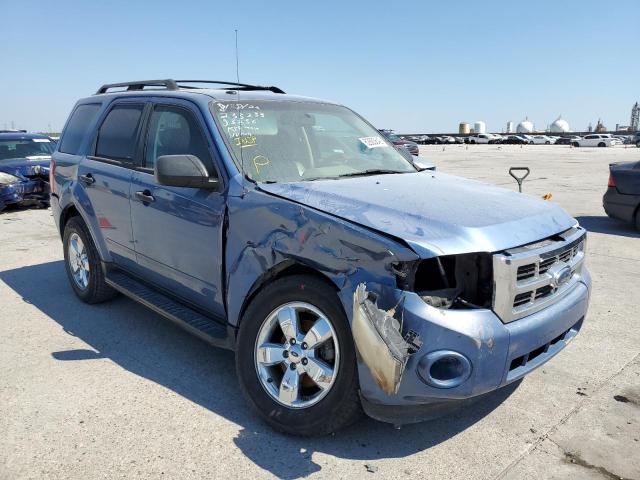 FORD ESCAPE XLT 2010 1fmcu0dg0akb63256