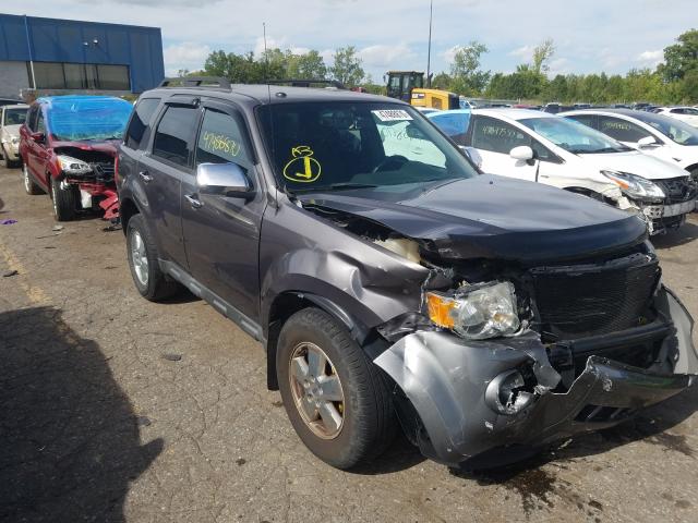 FORD ESCAPE XLT 2010 1fmcu0dg0akc07286