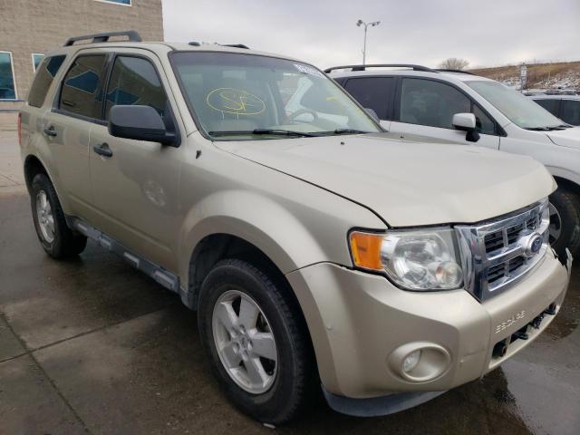 FORD ESCAPE XLT 2010 1fmcu0dg0akc29157