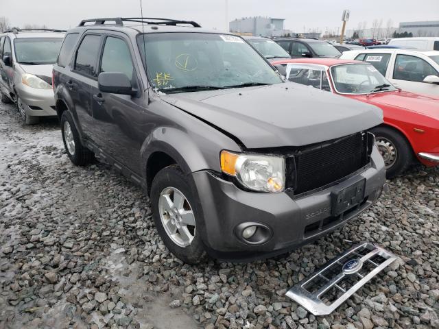 FORD ESCAPE XLT 2010 1fmcu0dg0akc38330