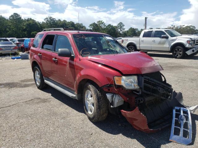 FORD ESCAPE XLT 2010 1fmcu0dg0akc75913