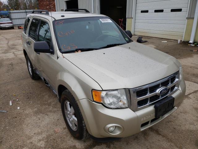 FORD ESCAPE XLT 2010 1fmcu0dg0akc78813