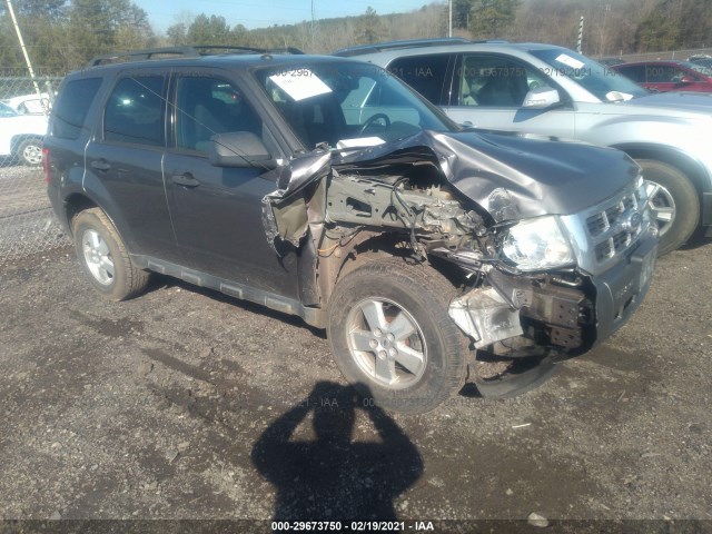 FORD ESCAPE 2010 1fmcu0dg0akd11390