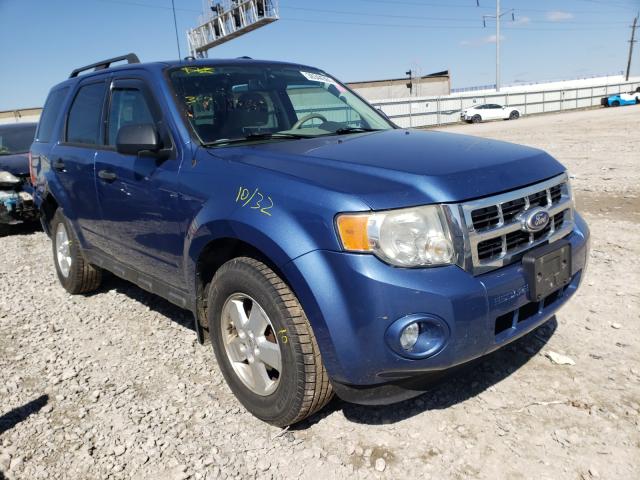 FORD ESCAPE XLT 2010 1fmcu0dg0akd18307