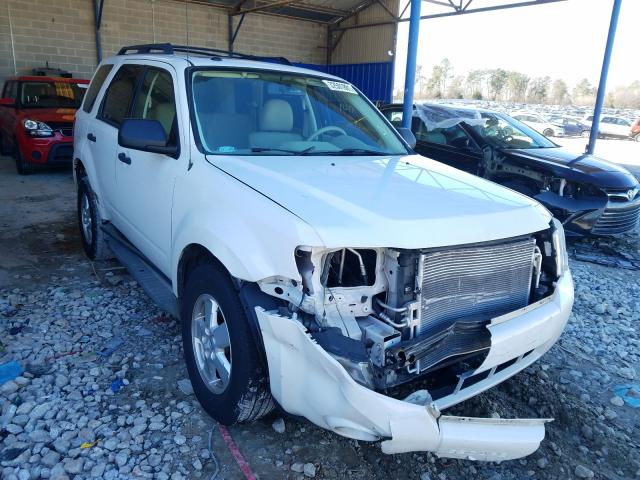 FORD ESCAPE XLT 2010 1fmcu0dg0akd48360