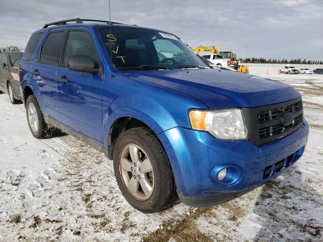 FORD ESCAPE XLT 2011 1fmcu0dg0bka51445