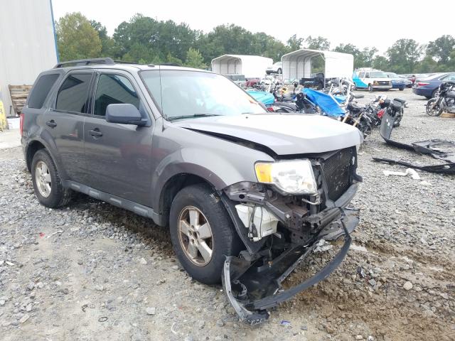 FORD ESCAPE XLT 2011 1fmcu0dg0bka72991