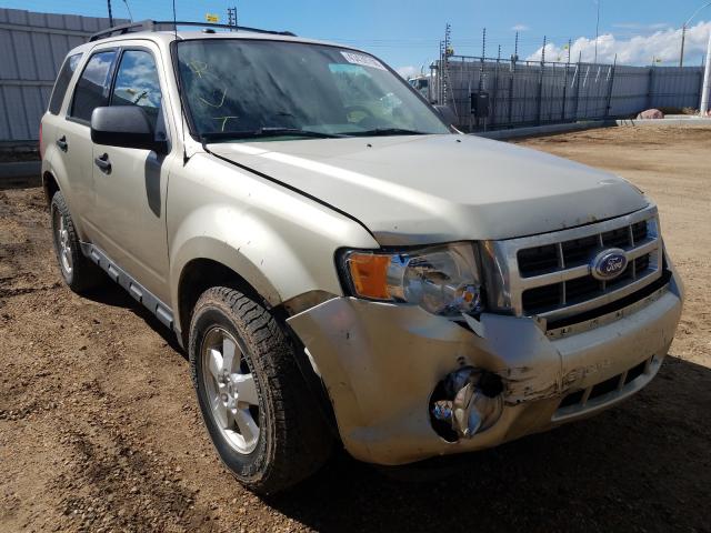 FORD ESCAPE XLT 2011 1fmcu0dg0bkc26535