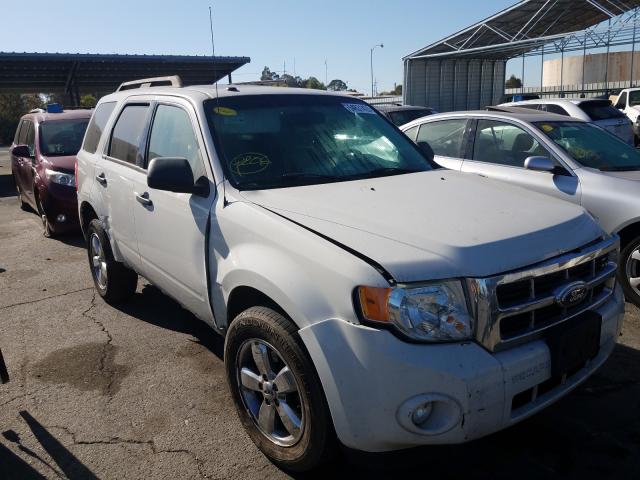 FORD ESCAPE XLT 2011 1fmcu0dg0bkc63889