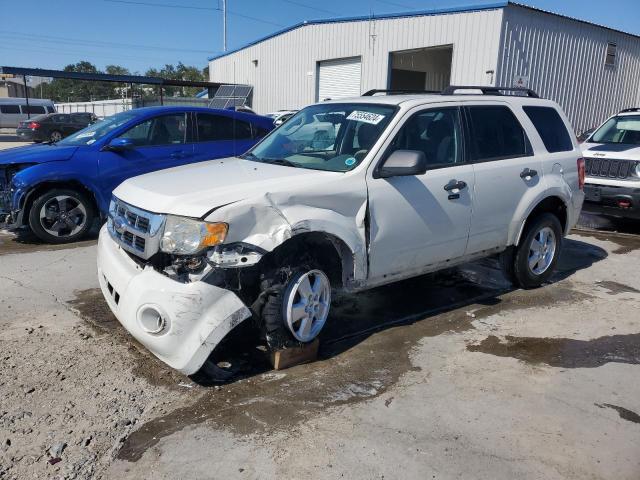 FORD ESCAPE XLT 2010 1fmcu0dg1aka09476