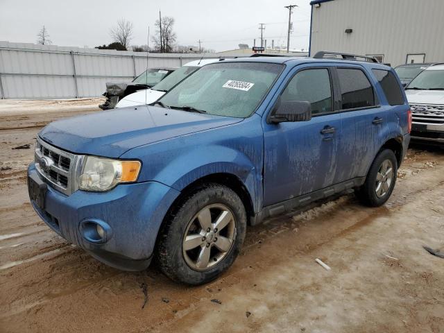 FORD ESCAPE 2010 1fmcu0dg1aka09509