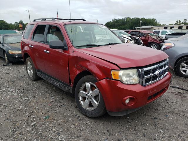 FORD ESCAPE 2010 1fmcu0dg1akb61063