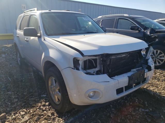 FORD ESCAPE XLT 2010 1fmcu0dg1akc42435