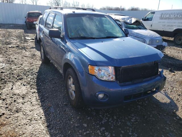 FORD ESCAPE XLT 2010 1fmcu0dg1akd00558