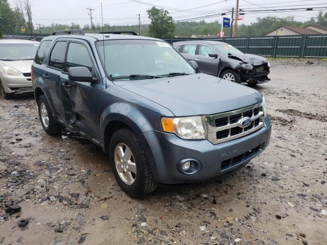 FORD ESCAPE XLT 2010 1fmcu0dg1akd33964