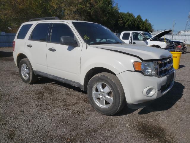 FORD ESCAPE XLT 2011 1fmcu0dg1bka51812