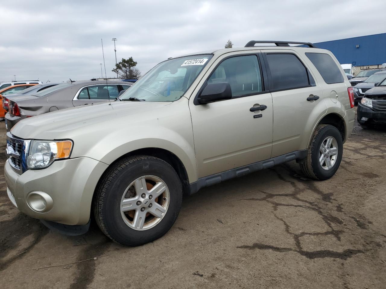 FORD ESCAPE 2011 1fmcu0dg1bkb02533