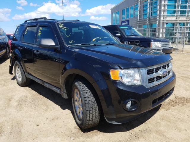 FORD ESCAPE XLT 2011 1fmcu0dg1bkb55197