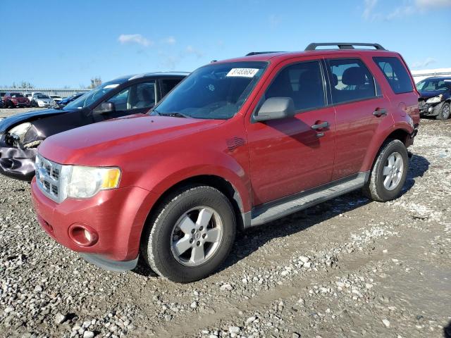 FORD ESCAPE XLT 2011 1fmcu0dg1bkb78365