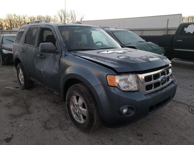 FORD ESCAPE XLT 2011 1fmcu0dg1bkc17259