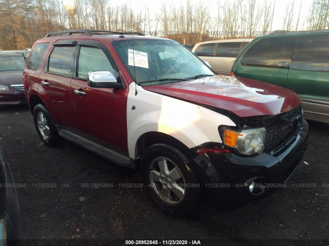 FORD ESCAPE 2010 1fmcu0dg2aka11429