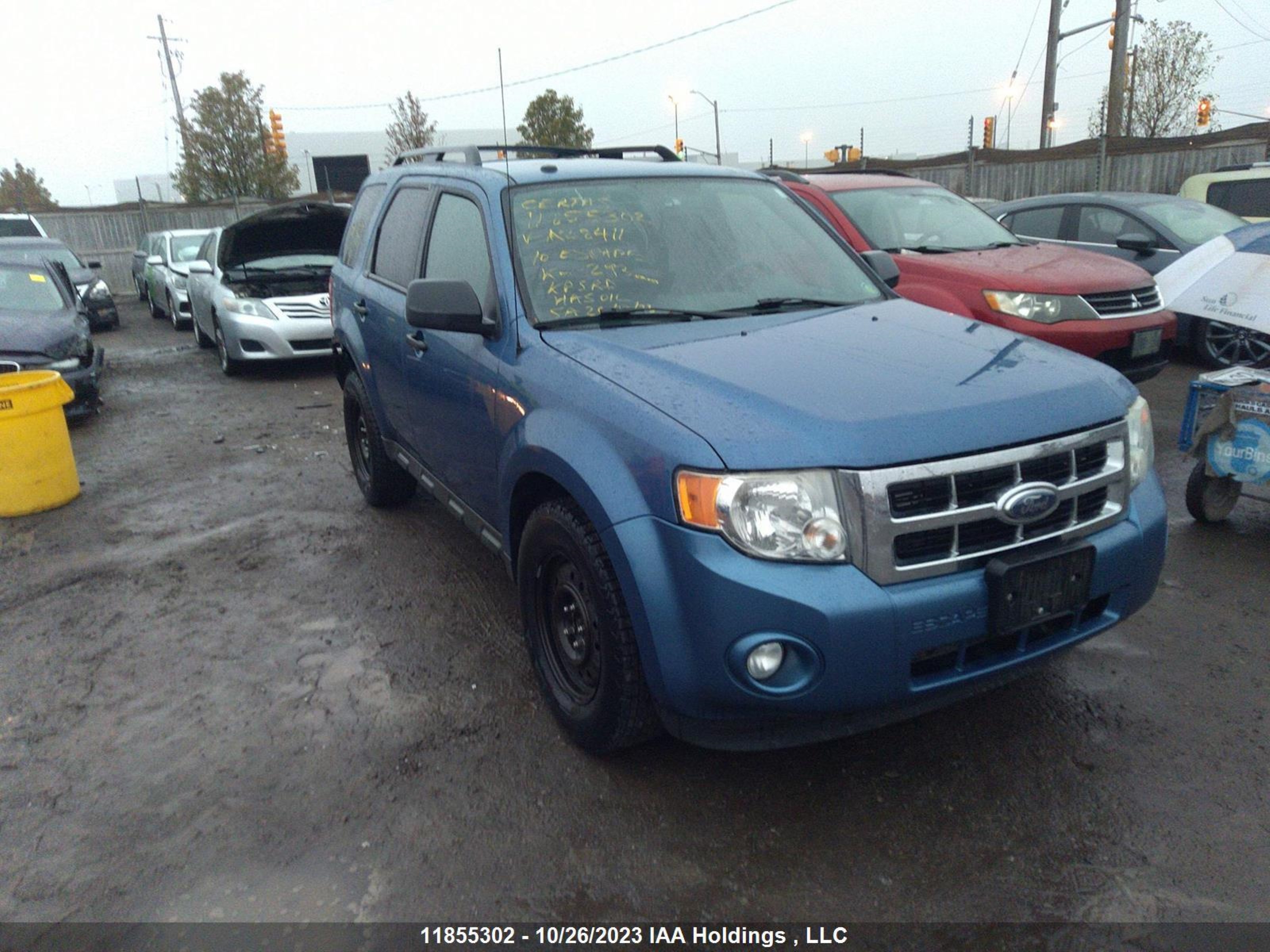 FORD ESCAPE 2010 1fmcu0dg2aka28411