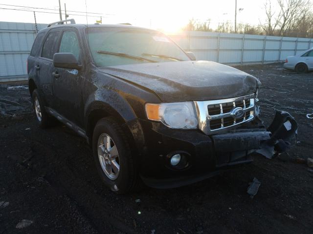 FORD ESCAPE XLT 2010 1fmcu0dg2aka43040