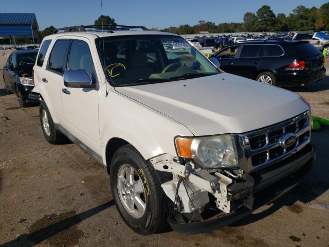 FORD ESCAPE XLT 2010 1fmcu0dg2akb54557