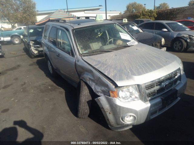 FORD ESCAPE 2010 1fmcu0dg2akb64618