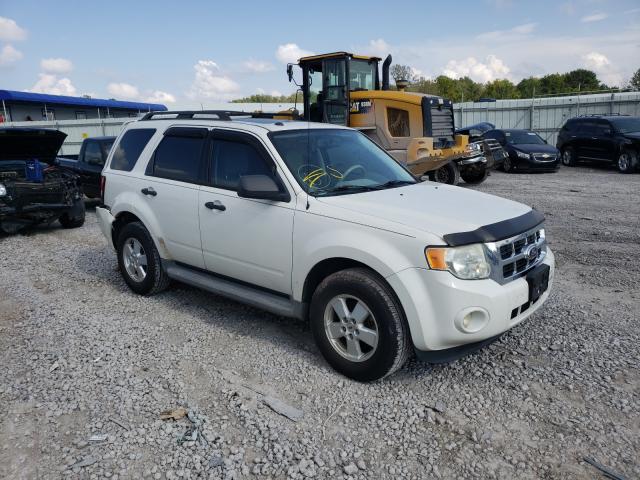 FORD ESCAPE XLT 2010 1fmcu0dg2akc46395