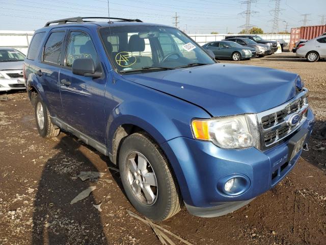 FORD ESCAPE XLT 2010 1fmcu0dg2akd17207