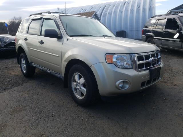 FORD ESCAPE XLT 2010 1fmcu0dg2akd24075