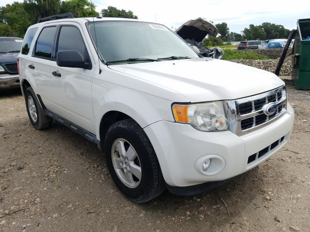 FORD ESCAPE XLT 2010 1fmcu0dg2akd40728