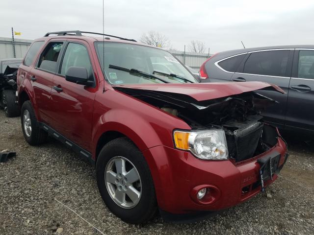 FORD ESCAPE XLT 2011 1fmcu0dg2bka14431