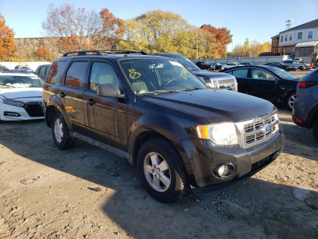 FORD ESCAPE XLT 2011 1fmcu0dg2bka26711