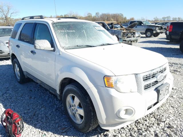 FORD ESCAPE XLT 2011 1fmcu0dg2bkb79539