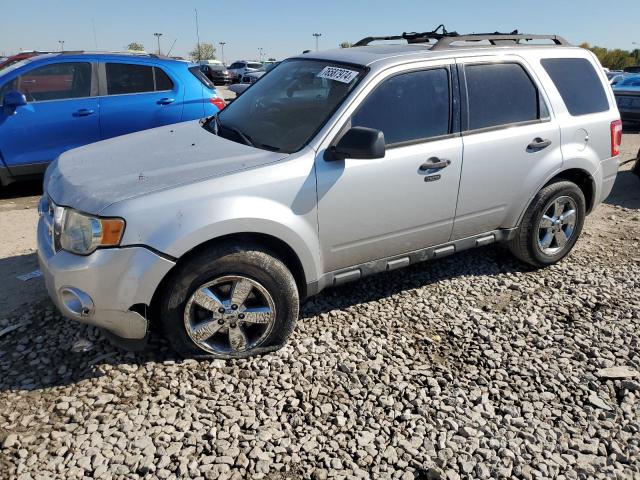 FORD ESCAPE XLT 2010 1fmcu0dg3akd31911