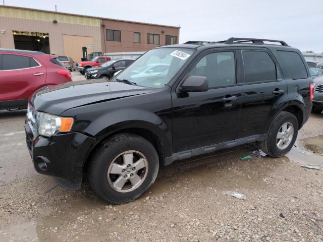 FORD ESCAPE XLT 2010 1fmcu0dg3akd32671