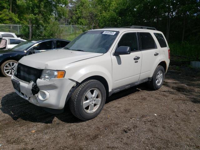 FORD ESCAPE XLT 2011 1fmcu0dg3bkb86547