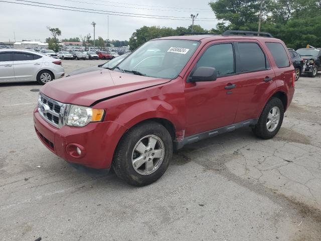 FORD ESCAPE XLT 2011 1fmcu0dg3bkc40736