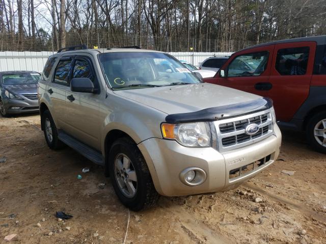 FORD ESCAPE XLT 2010 1fmcu0dg4akb02850